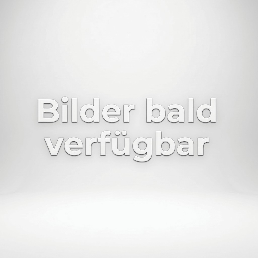 FIAT Ducato Maxi L4H2 Autm.